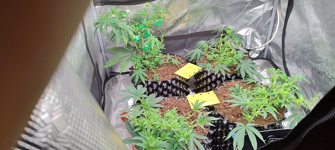 IMG_20251011_093908783_HDR