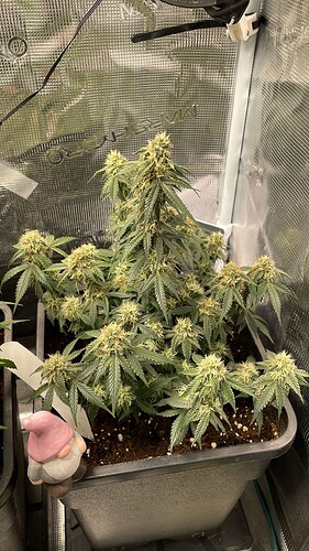 Growreport Bild 5