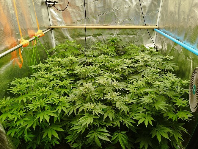 Growreport Bild 8