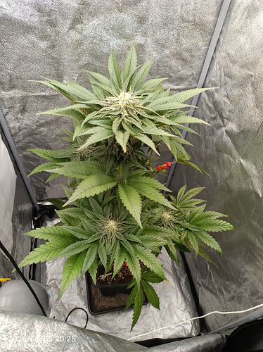 Growreport Bild 14