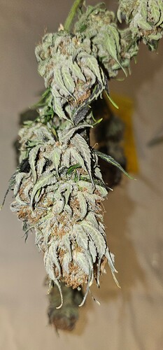 Growreport Bild 23