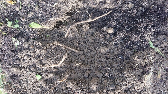 Growreport Bild 15