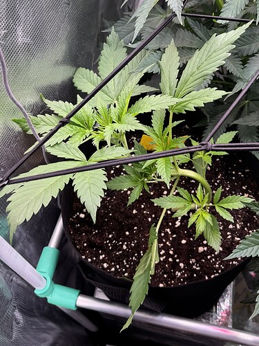 Growreport Bild 22