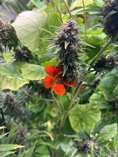 Growreport Bild 21
