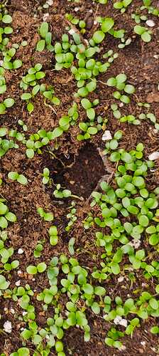 Growreport Bild 31