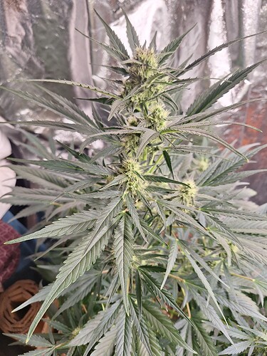 Growreport Bild 17