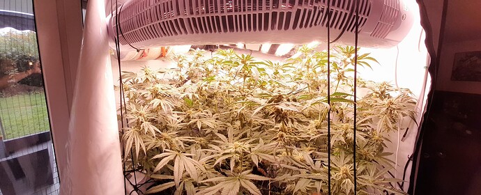 Growreport Bild 1