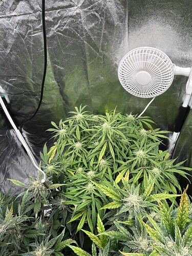 Growreport Bild 6