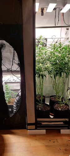 Growreport Bild 1