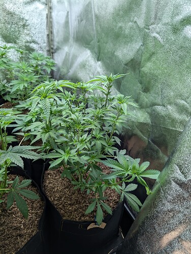 Growreport Bild 2