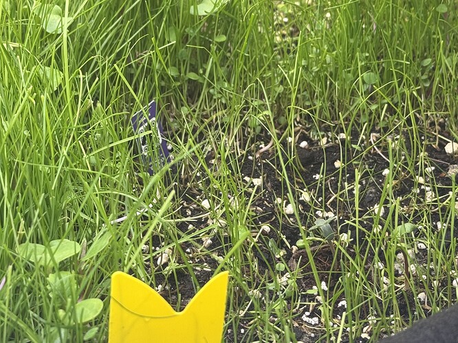 Growreport Bild 34