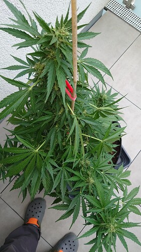 Growreport Bild 23