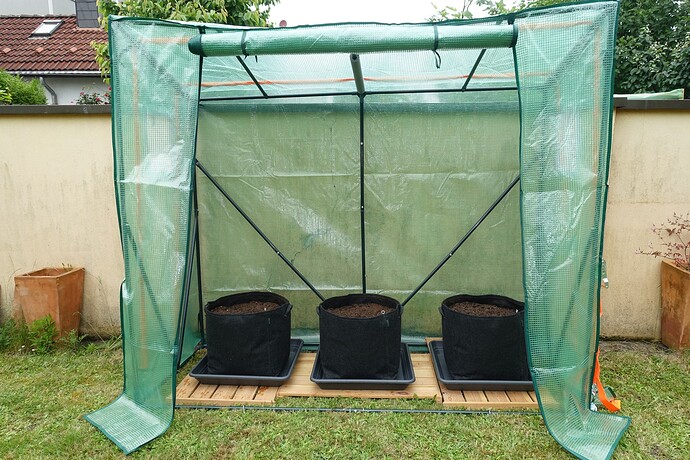 Growreport Bild 7