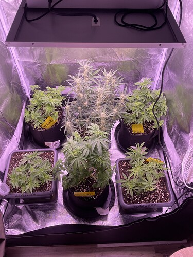 Growreport Bild 8