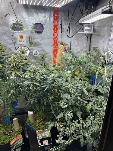 Growreport Bild 8
