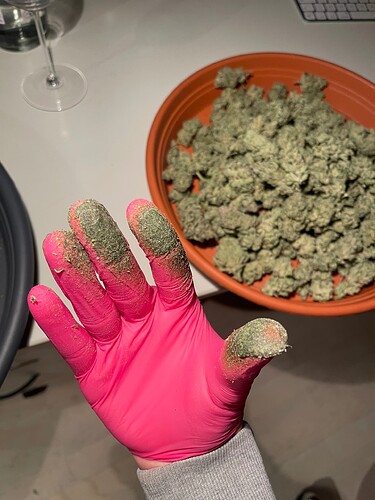 Growreport Bild 51