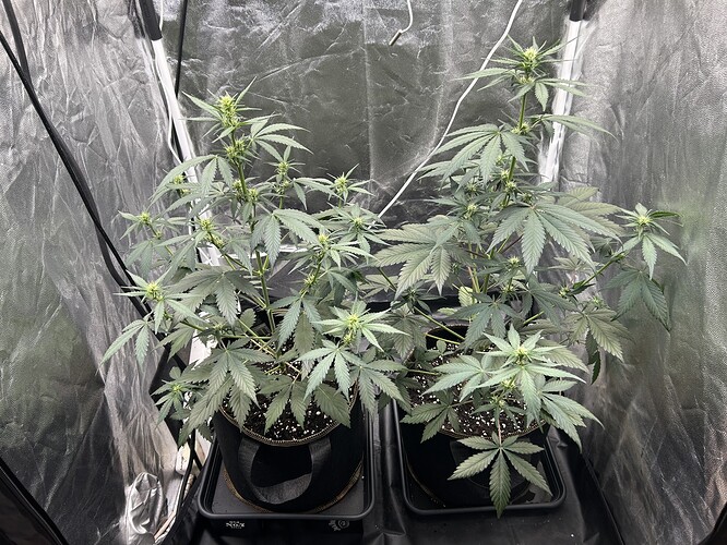 Growreport Bild 5
