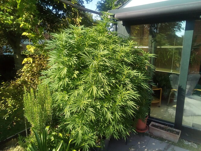 17266654273367921293595128085048