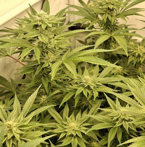 475487039_122166059384293599_8946124683855529550_n