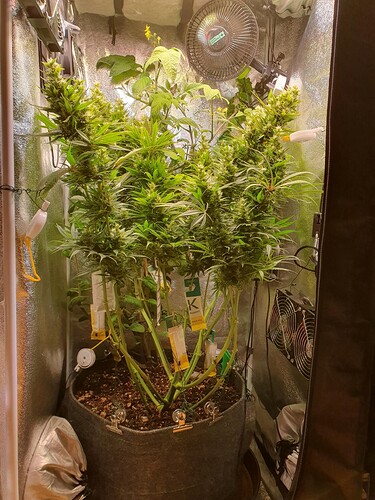 Growreport Bild 1