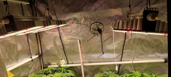 Growreport Bild 15
