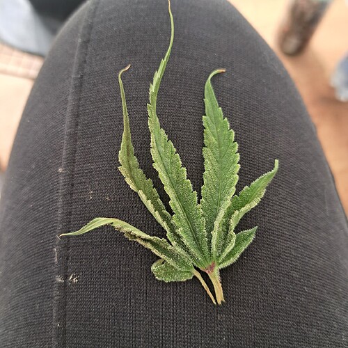 Growreport Bild 24