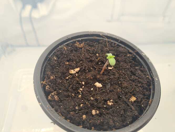 Growreport Bild 11