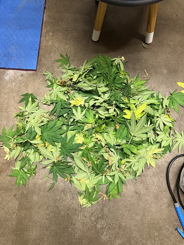 Growreport Bild 22