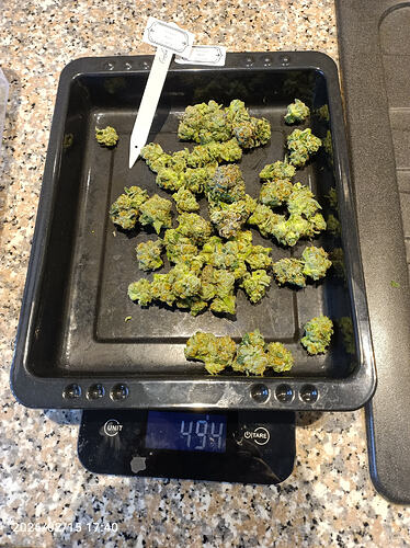 Growreport Bild 41