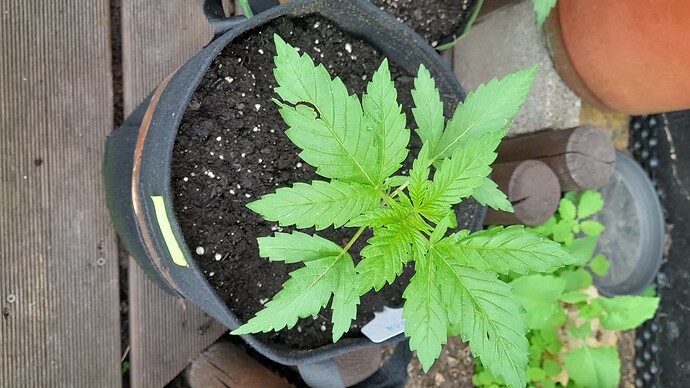 Growreport Bild 17