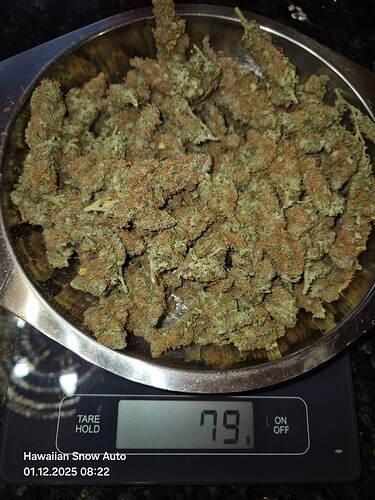 Growreport Bild 8