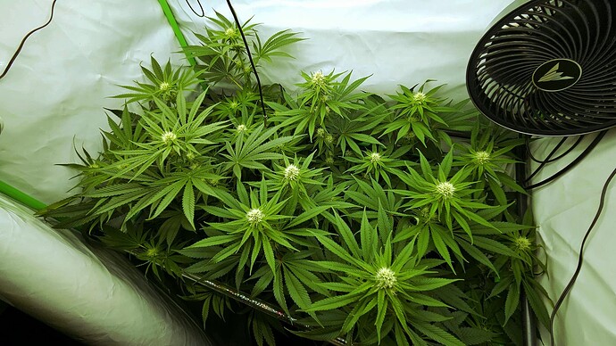 20250618_185736