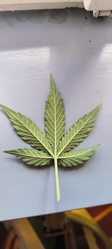 Growreport Bild 28