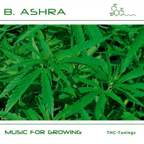 Growreport Bild 7