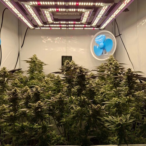 480199376_122168107394293599_7625225837072657703_n