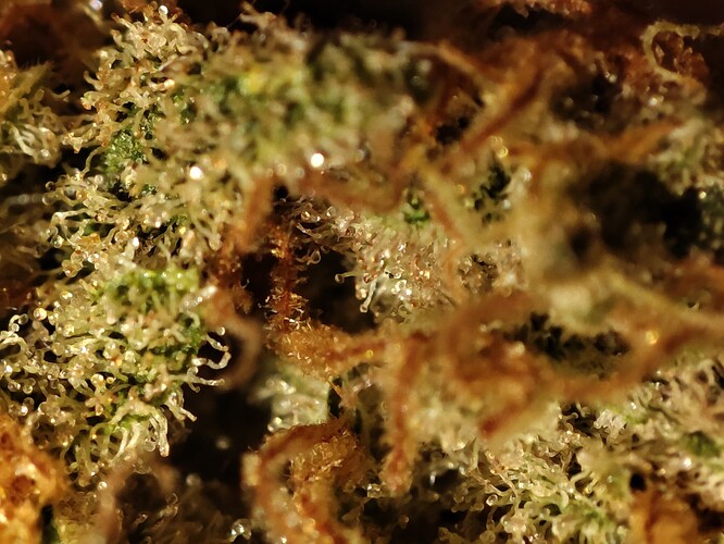 Growreport Bild 11