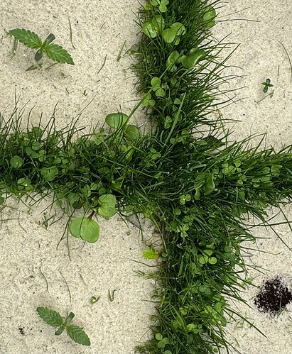 Growreport Bild 13