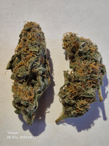Growreport Bild 17