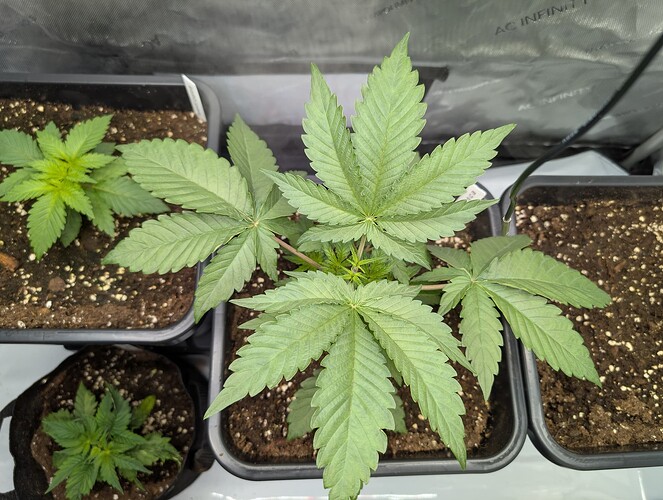Growreport Bild 11