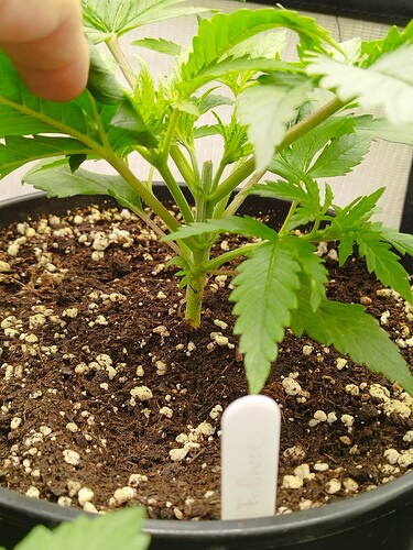 Growreport Bild 10