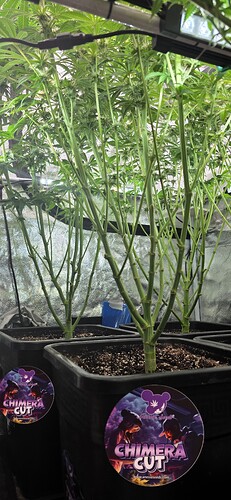Growreport Bild 24
