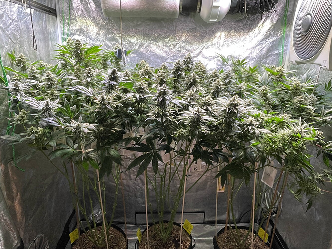 Growreport Bild 1