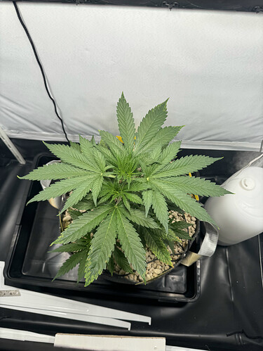 20240503_050707571_iOS