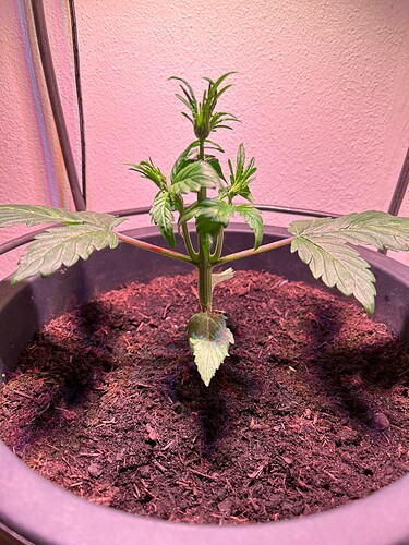 Growreport Bild 8