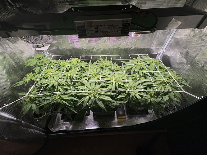 Growreport Bild 5
