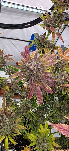 Growreport Bild 24