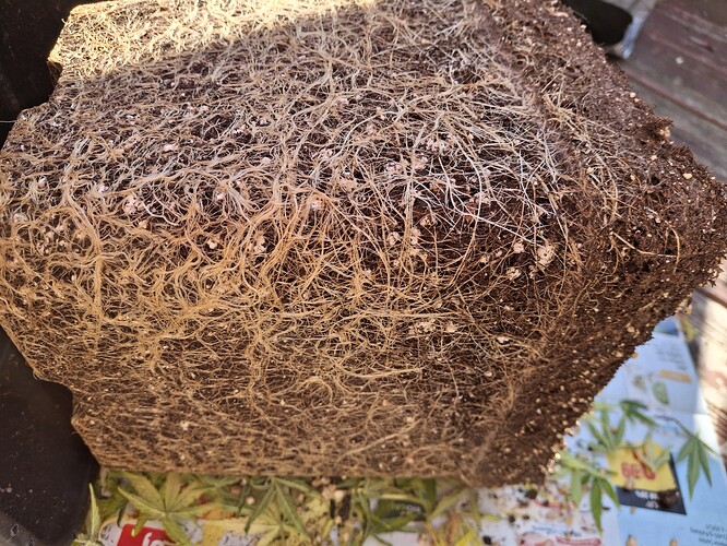 Growreport Bild 13