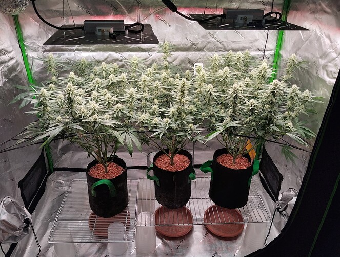 Growreport Bild 11