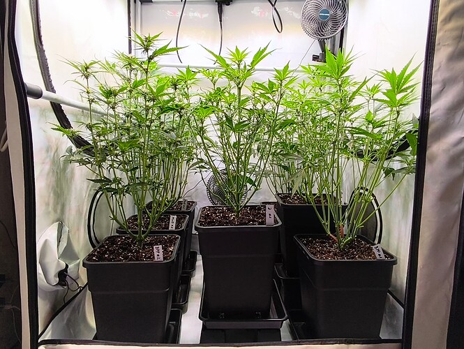 Growreport Bild 5