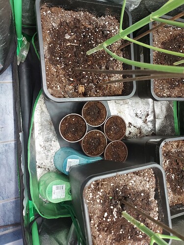 Growreport Bild 10